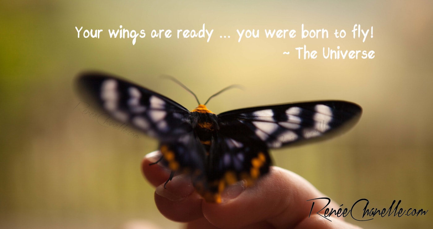 Your Wings Are Ready-RC